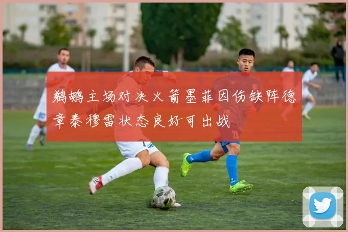 鹈鹕主场对决火箭墨菲因伤缺阵德章泰穆雷状态良好可出战